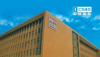 中軟卓越軟件開發學員成功入職it名企